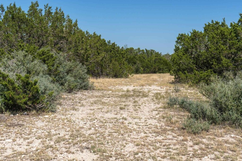 289 Acres County Road 24 Junction TX 76849