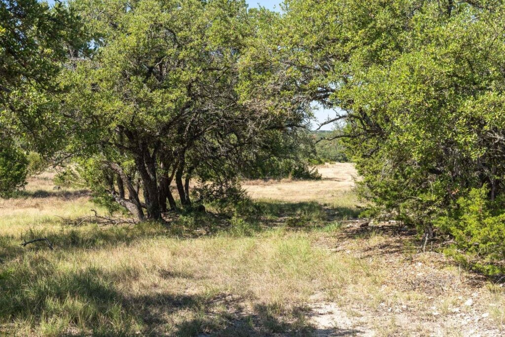 289 Acres County Road 24 Junction TX 76849