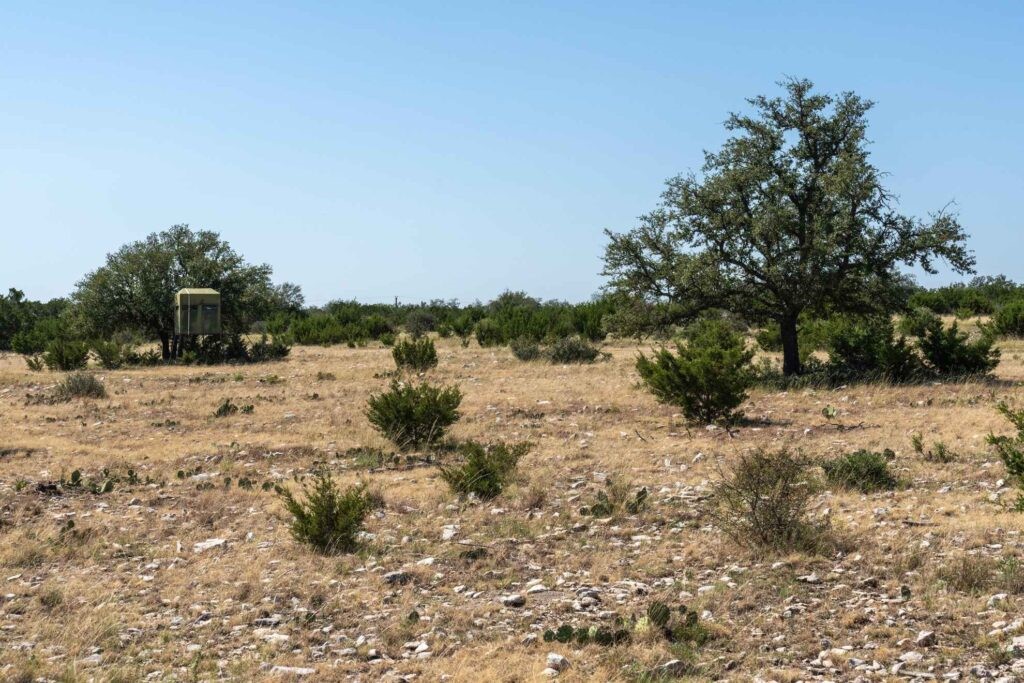 289 Acres County Road 24 Junction TX 76849