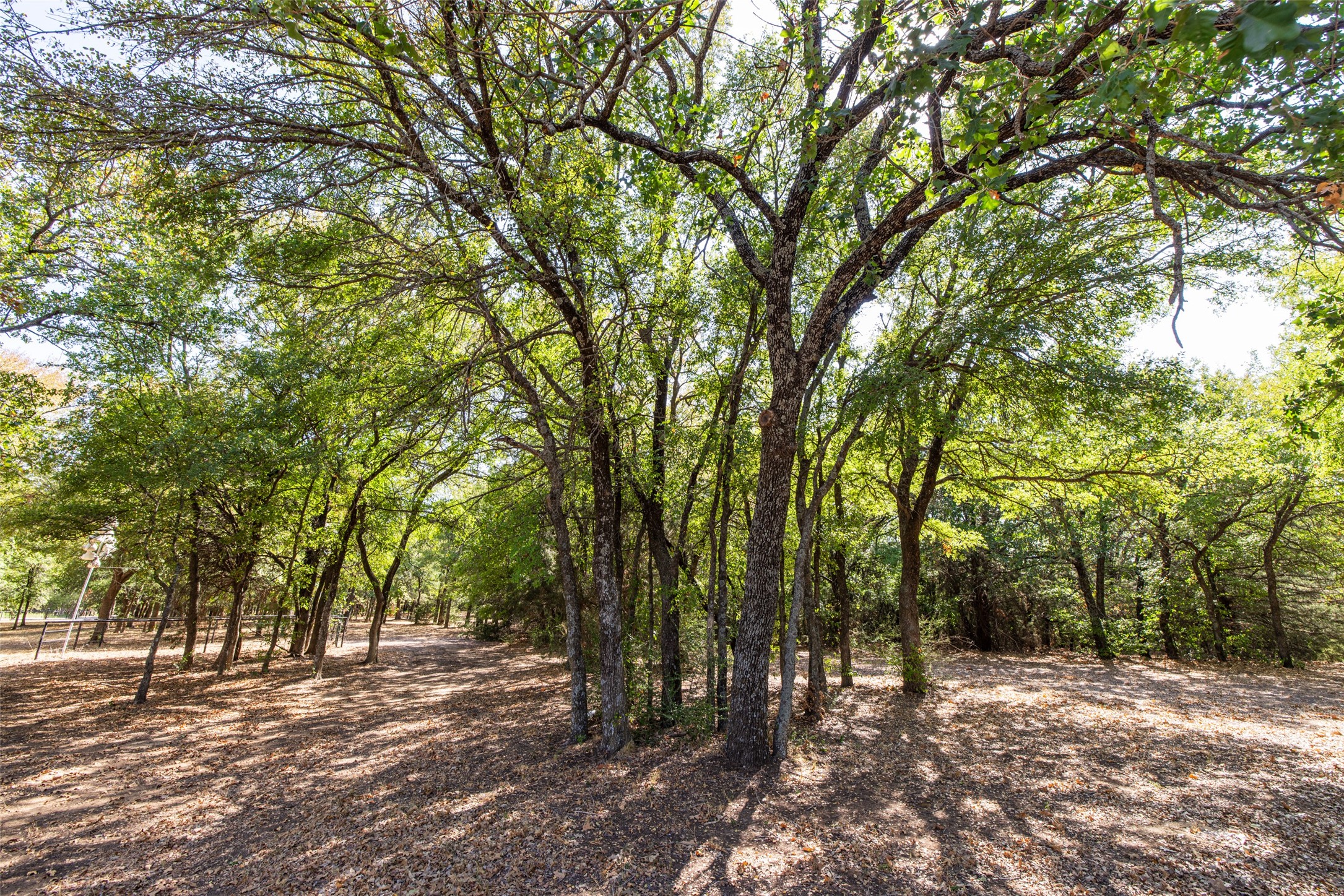 1600 Historic Lane Cross Roads TX 76227