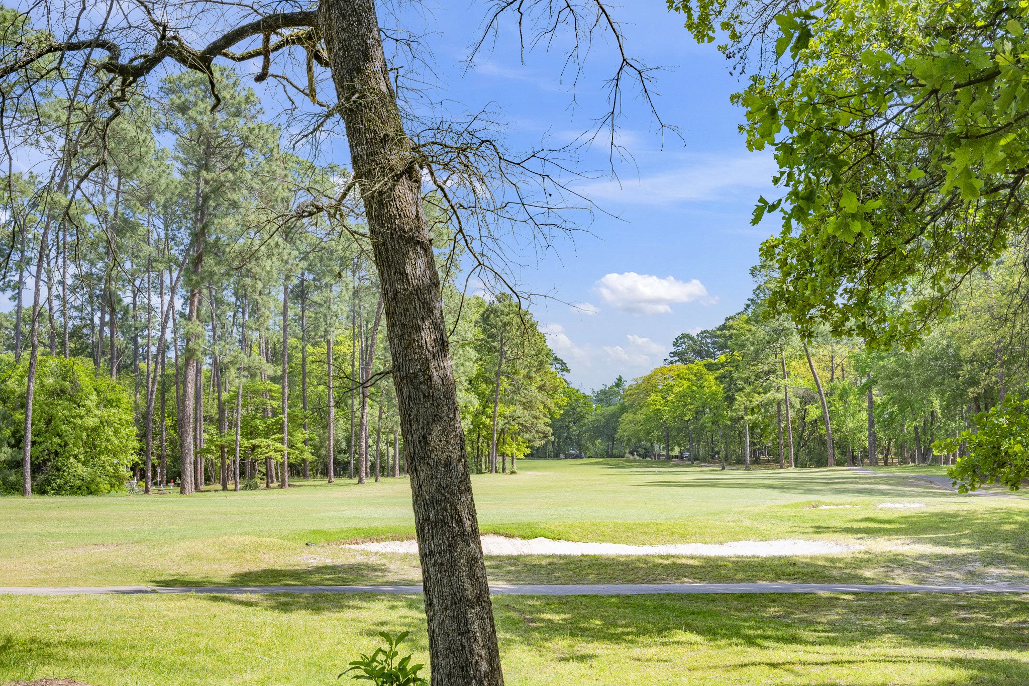 156 Spring Lake Knoll Holly Lake Ranch TX 75765