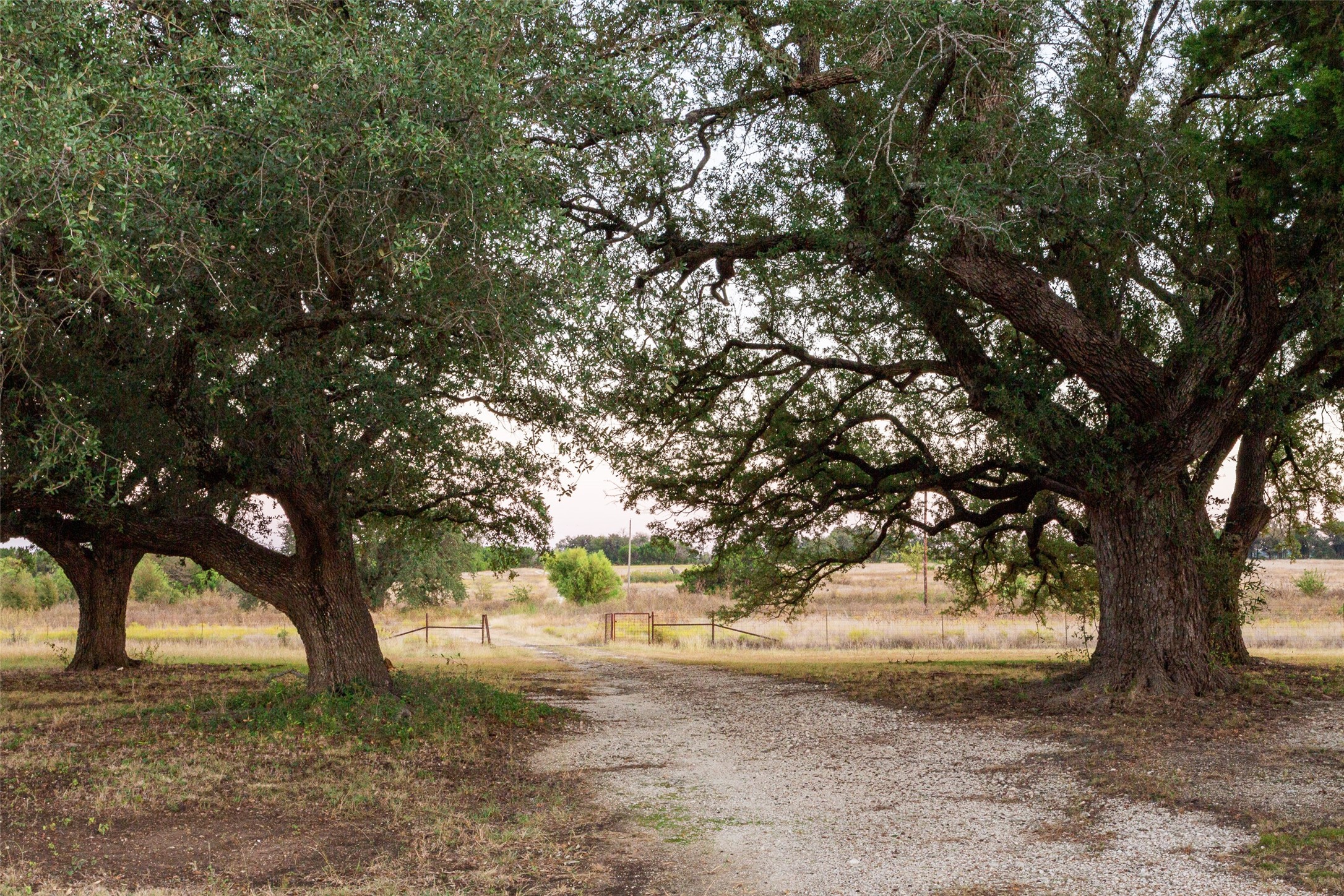 5770 County Road 309 Cranfills Gap TX 76637
