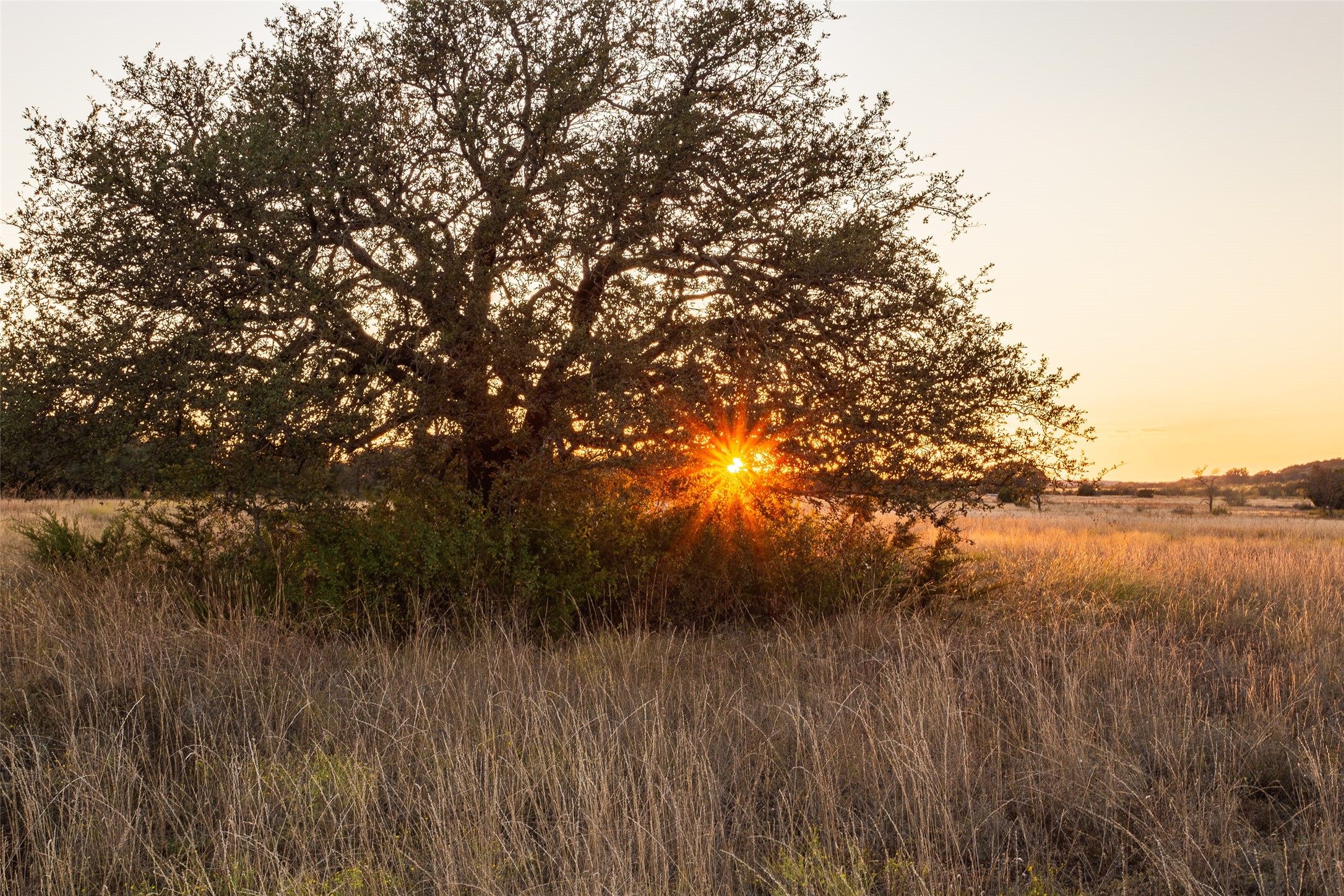 5770 County Road 309 Cranfills Gap TX 76637