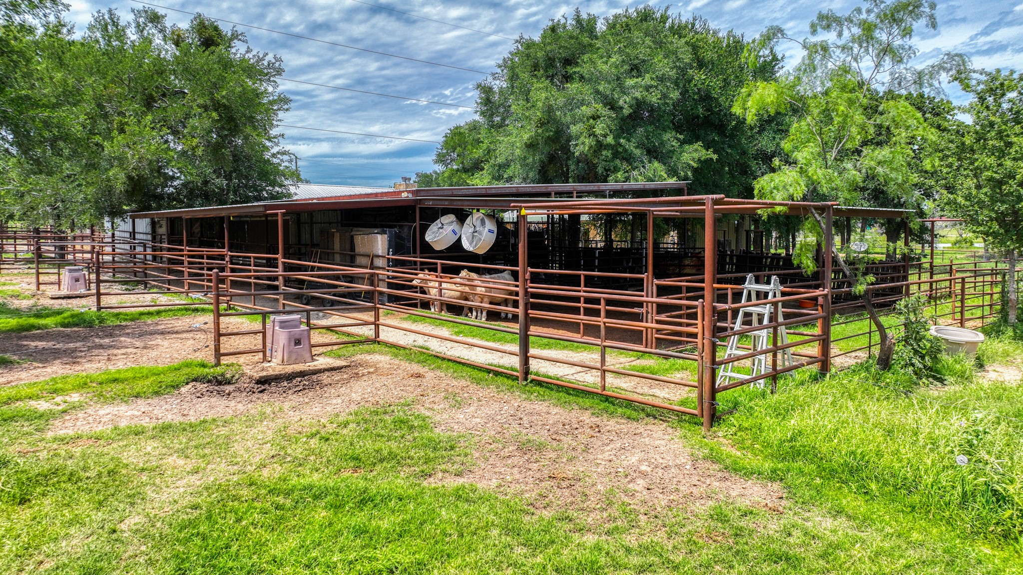 1060 Young Bend Road Brock TX 76087