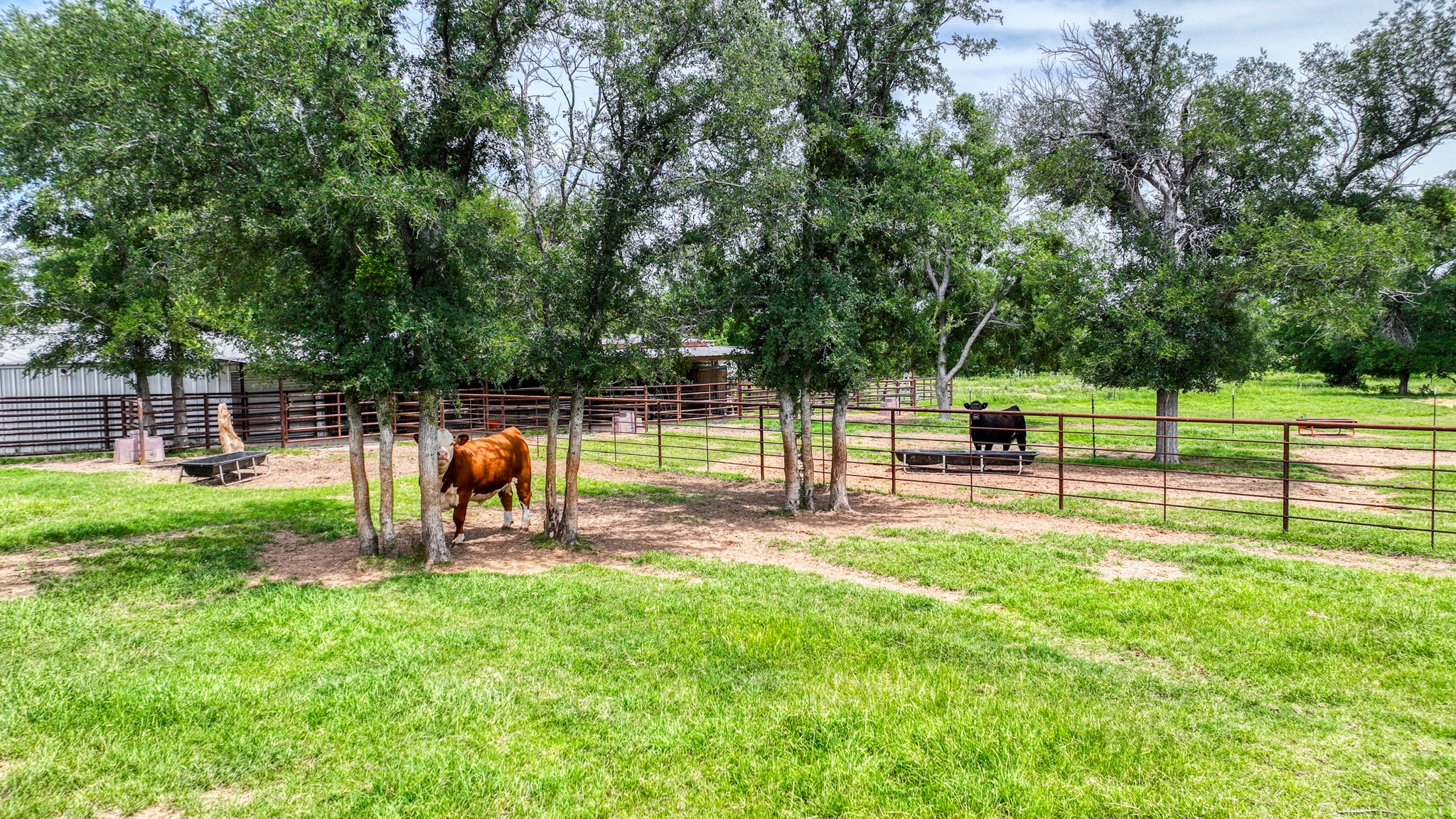 1060 Young Bend Road Brock TX 76087