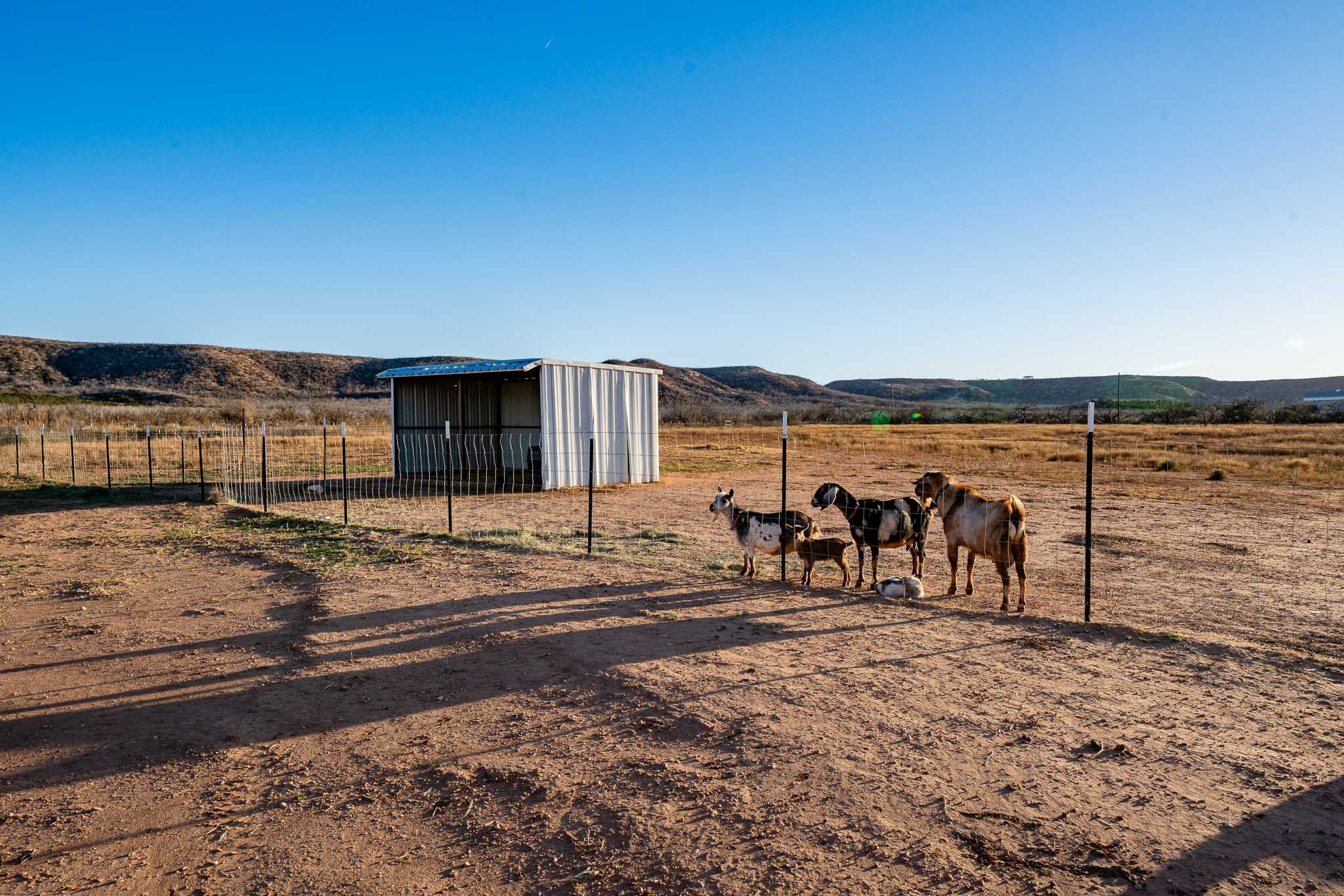 475 County Road 321 Abilene TX 79606