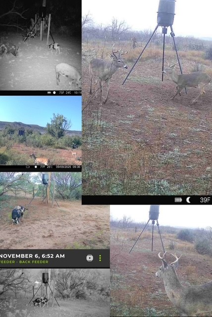 475 County Road 321 Abilene TX 79606