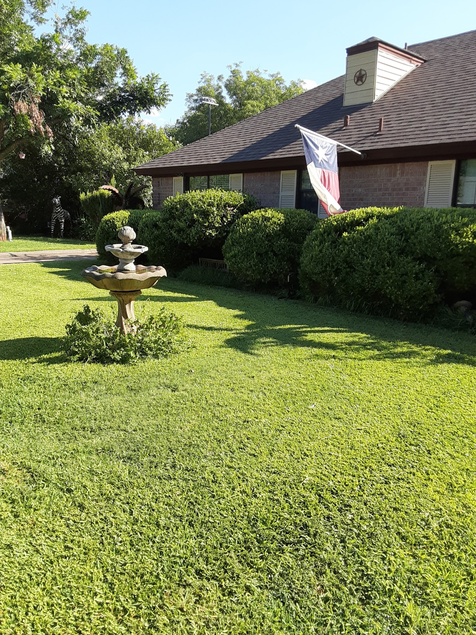 1502 Richland Drive Abilene TX 79603
