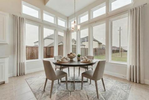 1006 Cascading Creek Drive Rockwall TX 75087