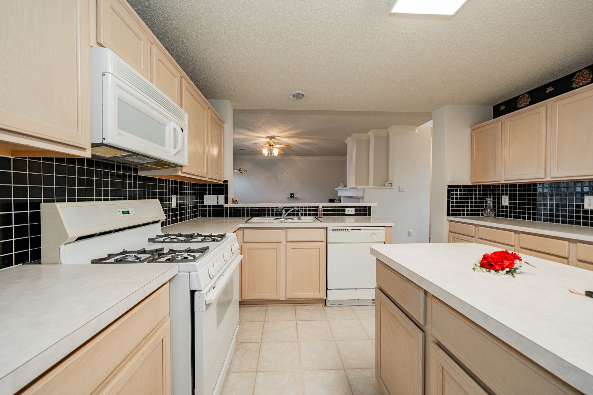 805 Elm Falls Place Mesquite TX 75181