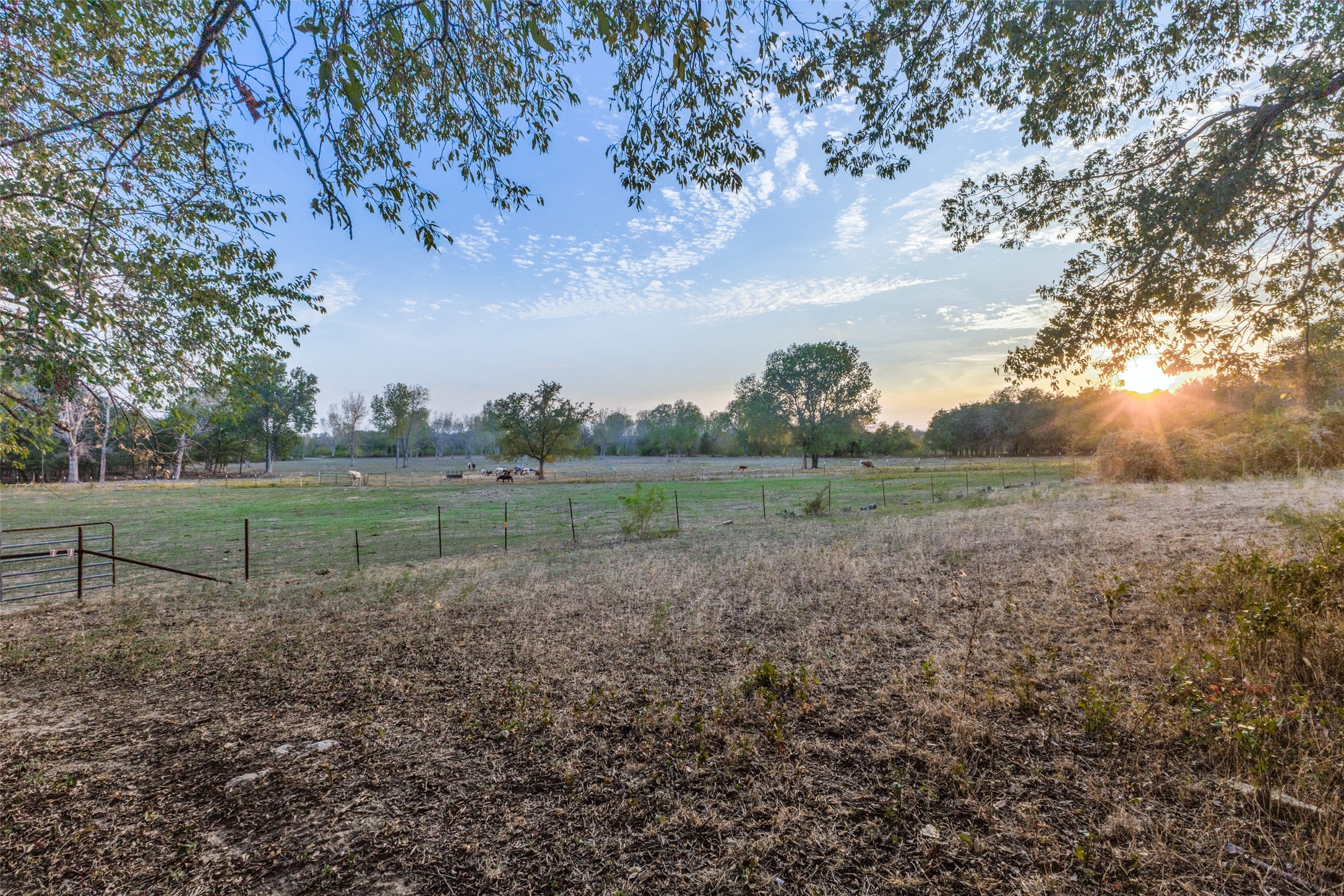 3501 Haynes Road Roanoke TX 76262