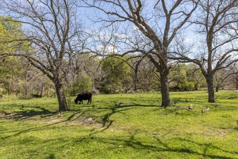 9885 County Road 270 Hico TX 76457