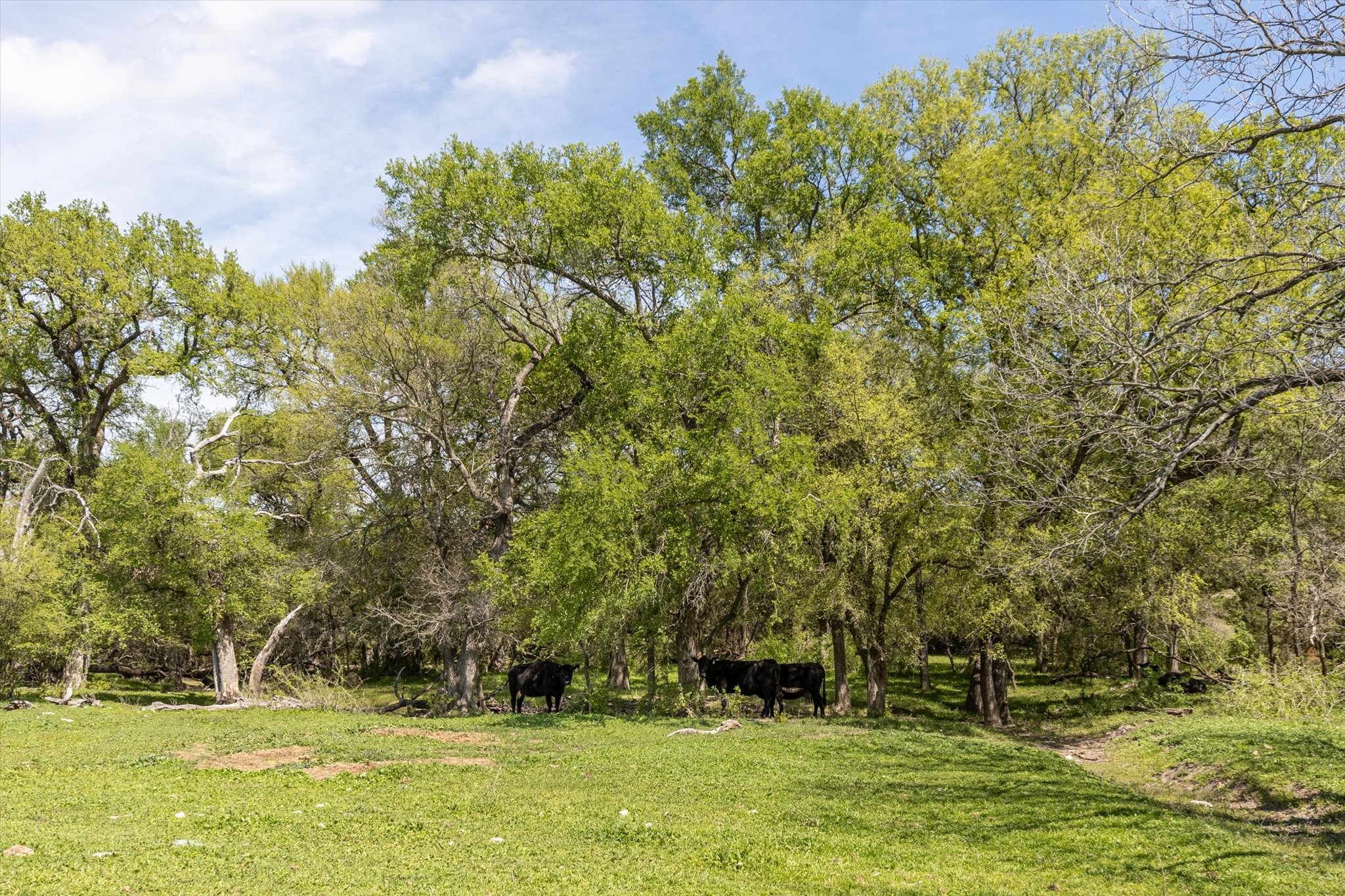 9885 County Road 270 Hico TX 76457