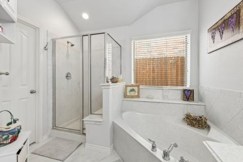 12548 Saratoga Springs Circle Fort Worth TX 76244