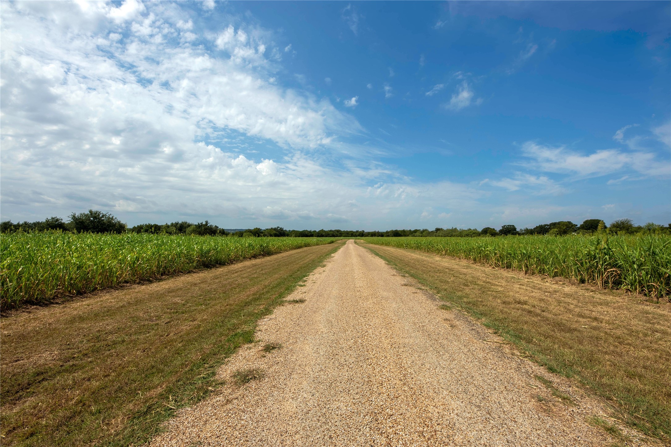 395 County Road 2530 Meridian TX 76665