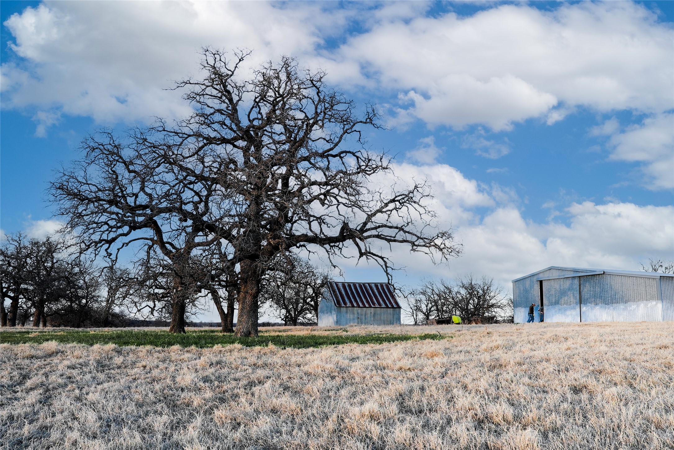 187 Cr-1750 Chico TX 76431