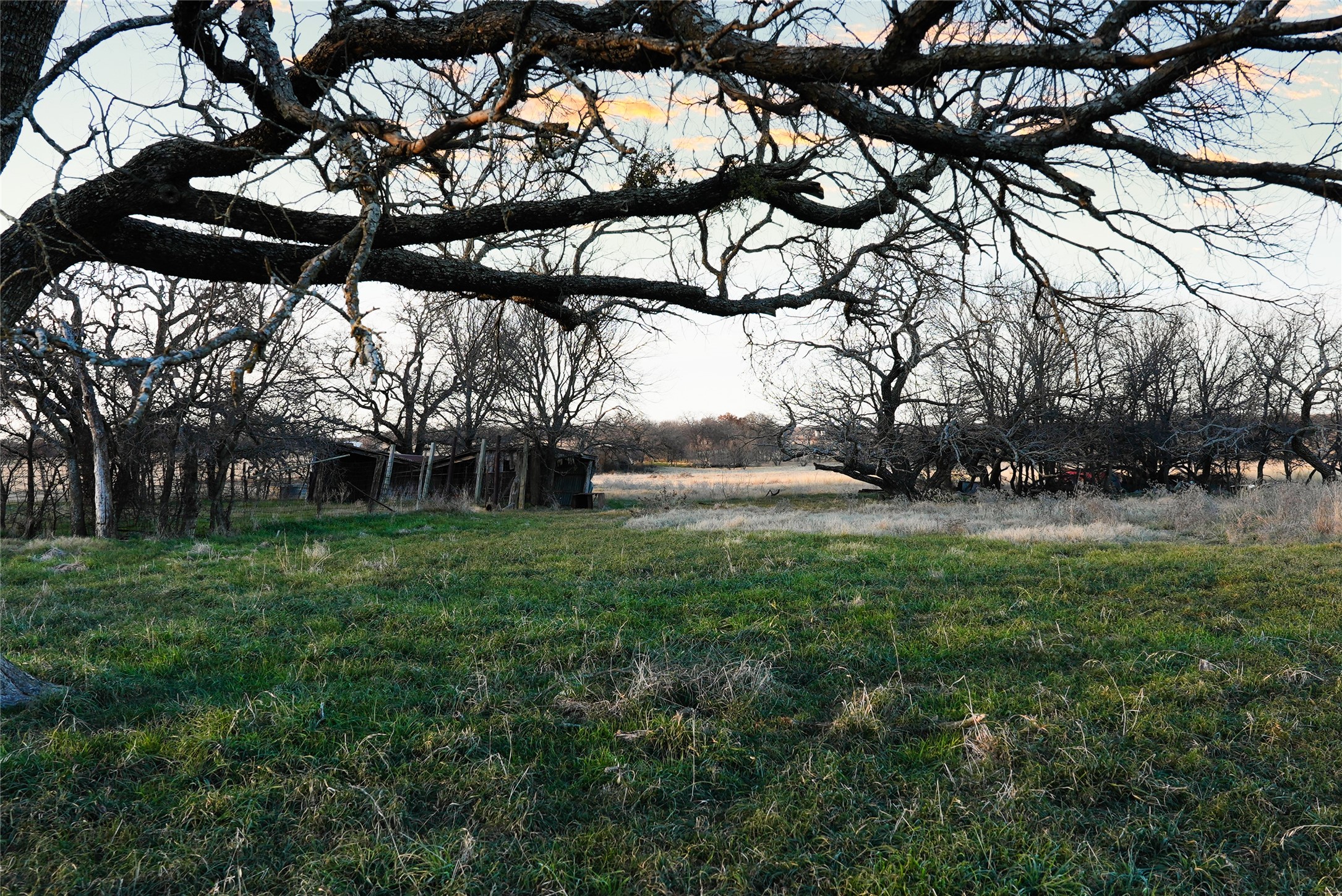 187 Cr-1750 Chico TX 76431