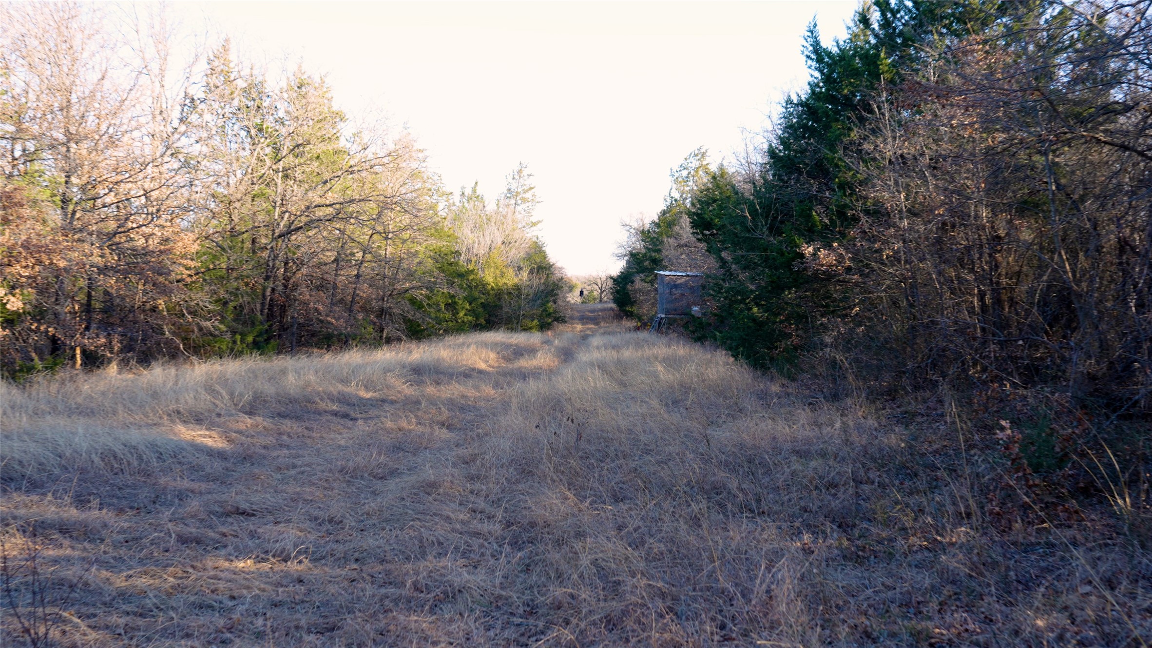 187 Cr-1750 Chico TX 76431