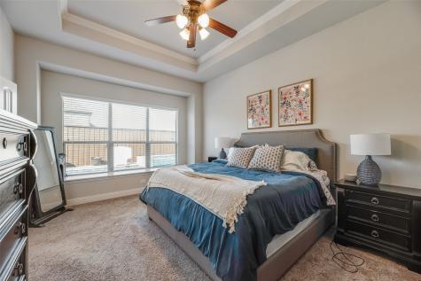 1207 Rendyn Street Anna TX 75409