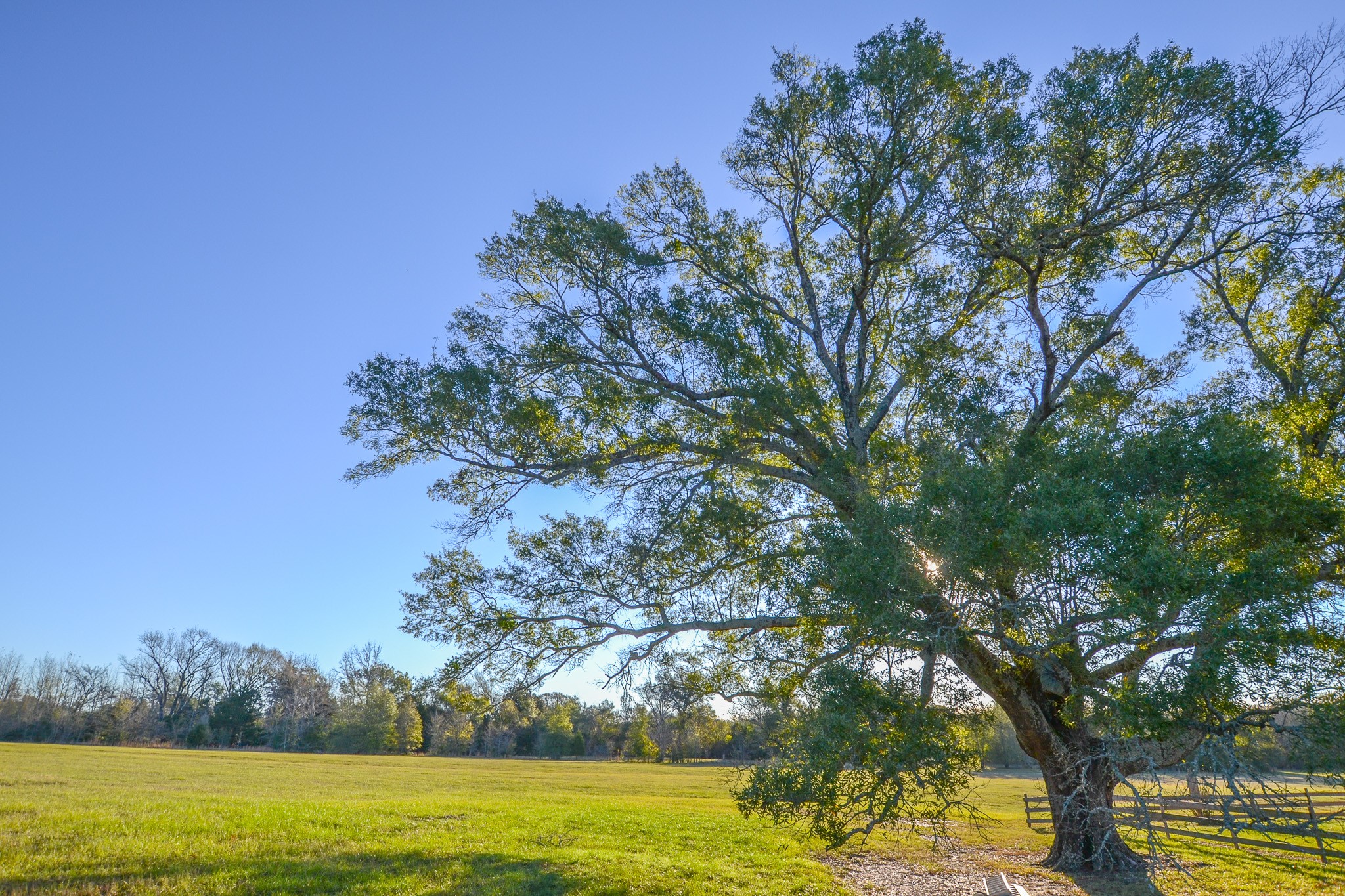 13612 County Road 3900 Athens TX 75752