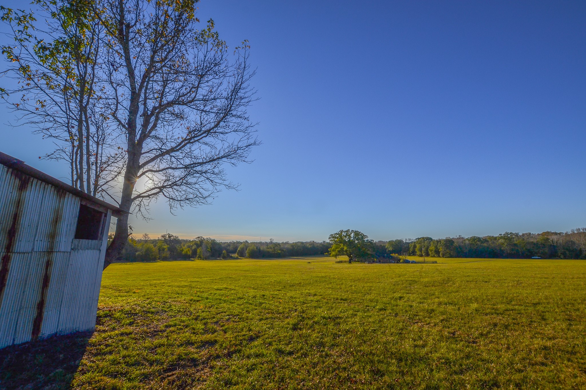 13612 County Road 3900 Athens TX 75752
