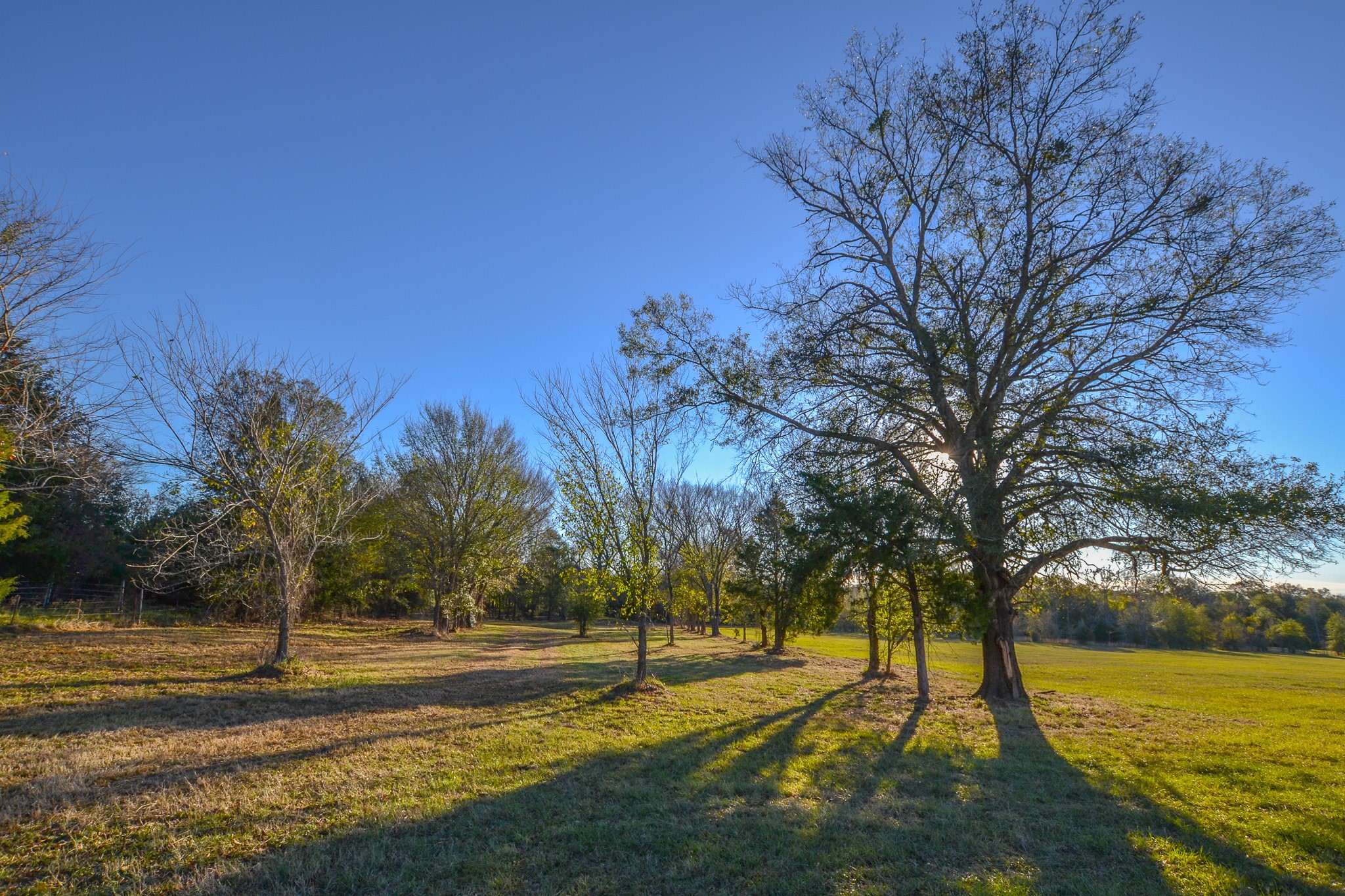 13612 County Road 3900 Athens TX 75752