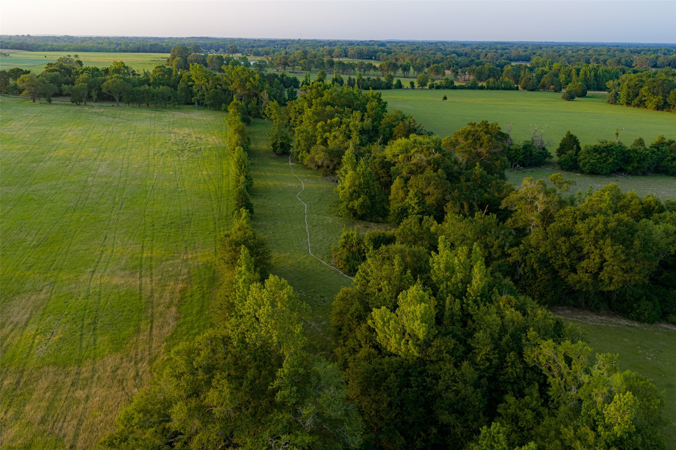 13612 County Road 3900 Athens TX 75752