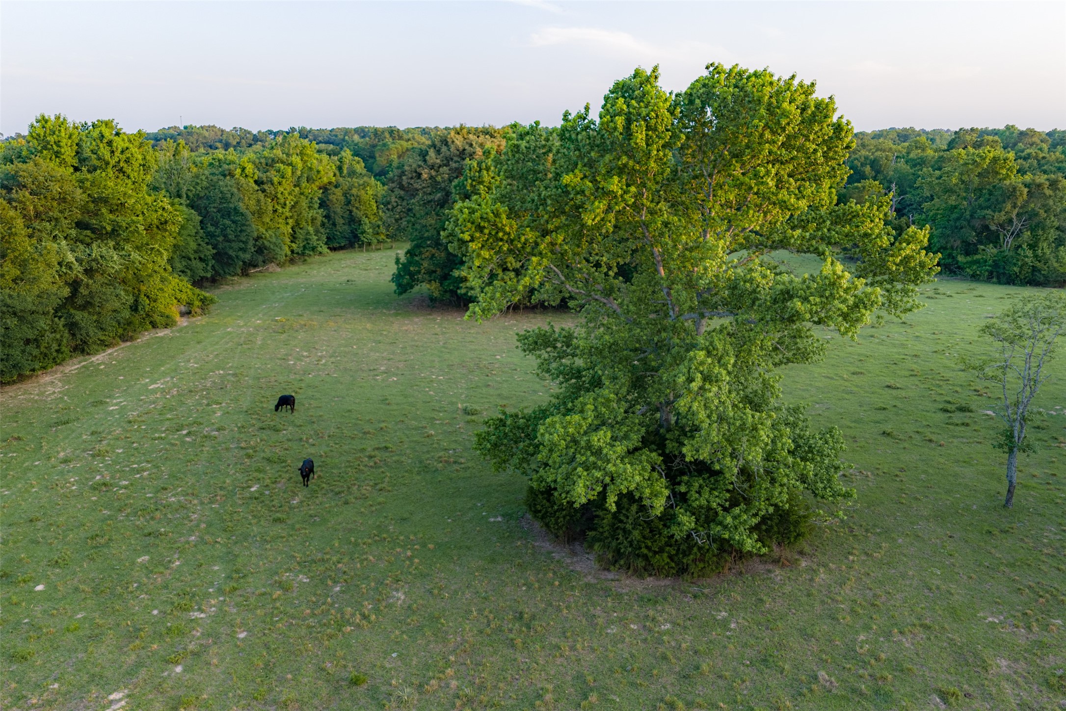 13612 County Road 3900 Athens TX 75752