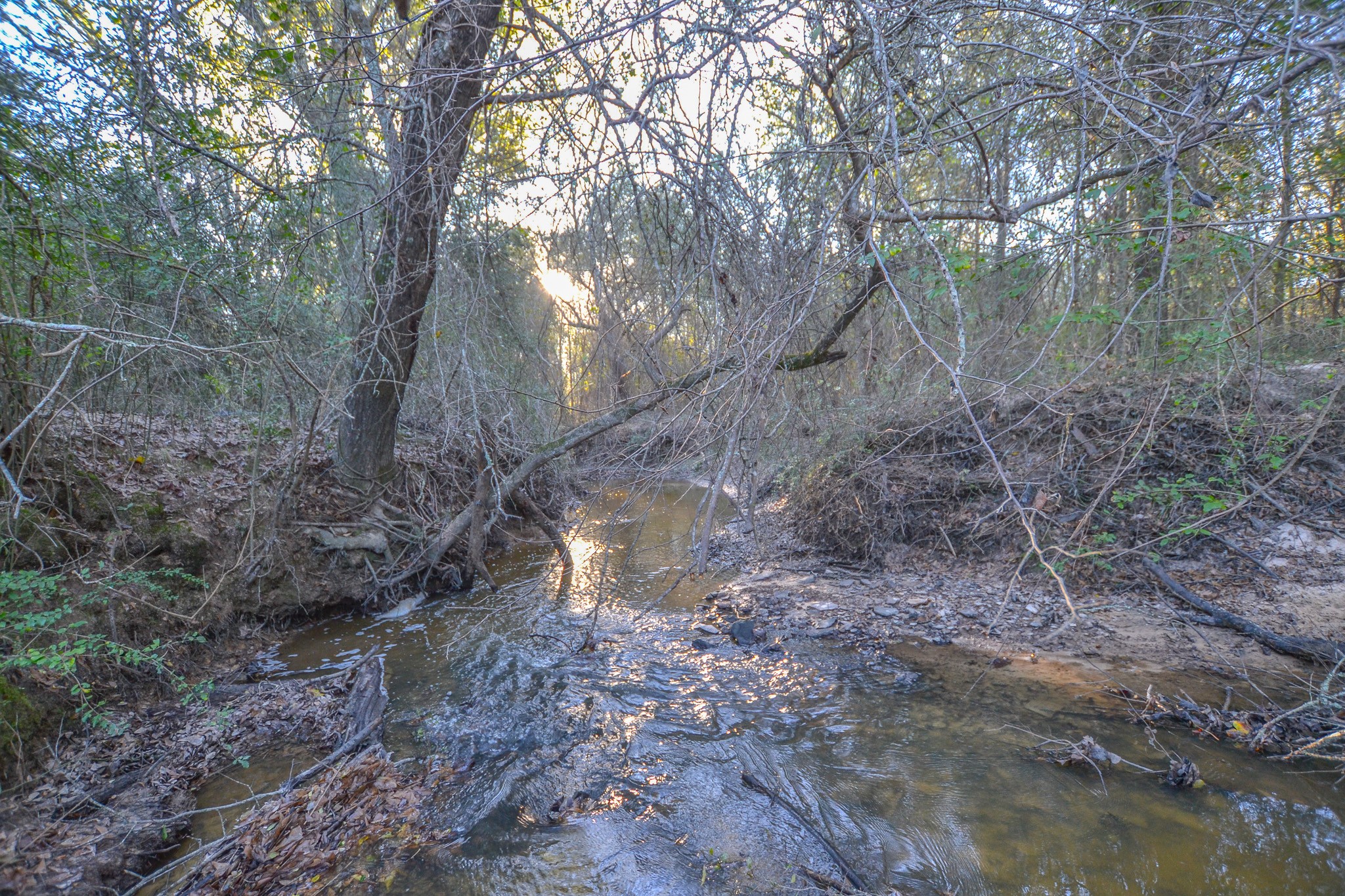 13612 County Road 3900 Athens TX 75752