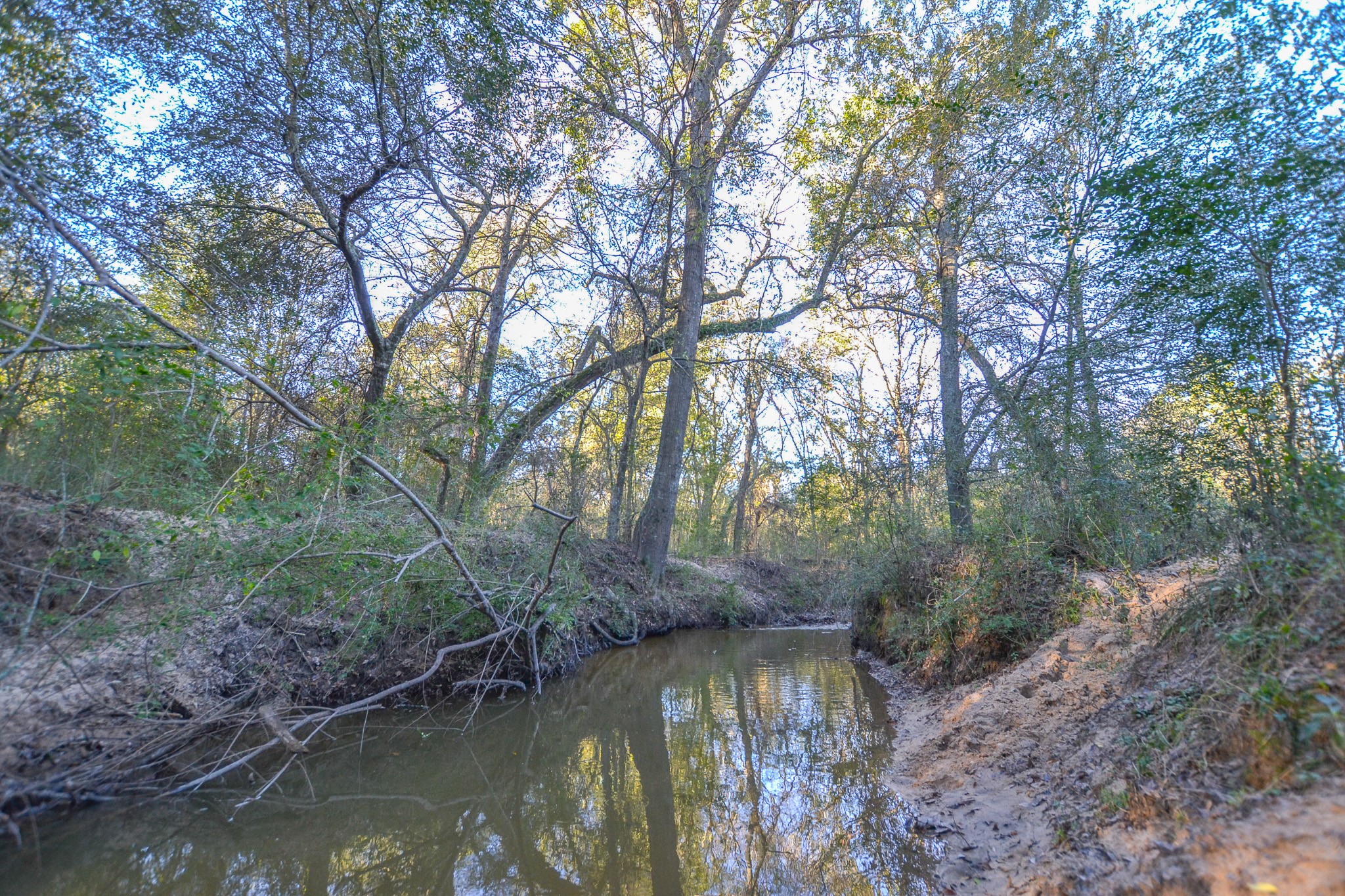 13612 County Road 3900 Athens TX 75752