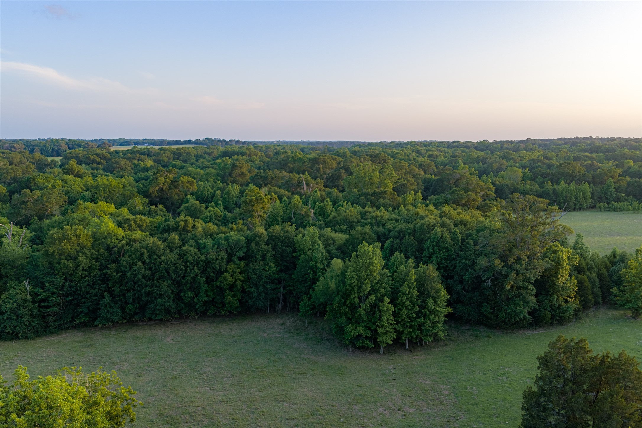 13612 County Road 3900 Athens TX 75752