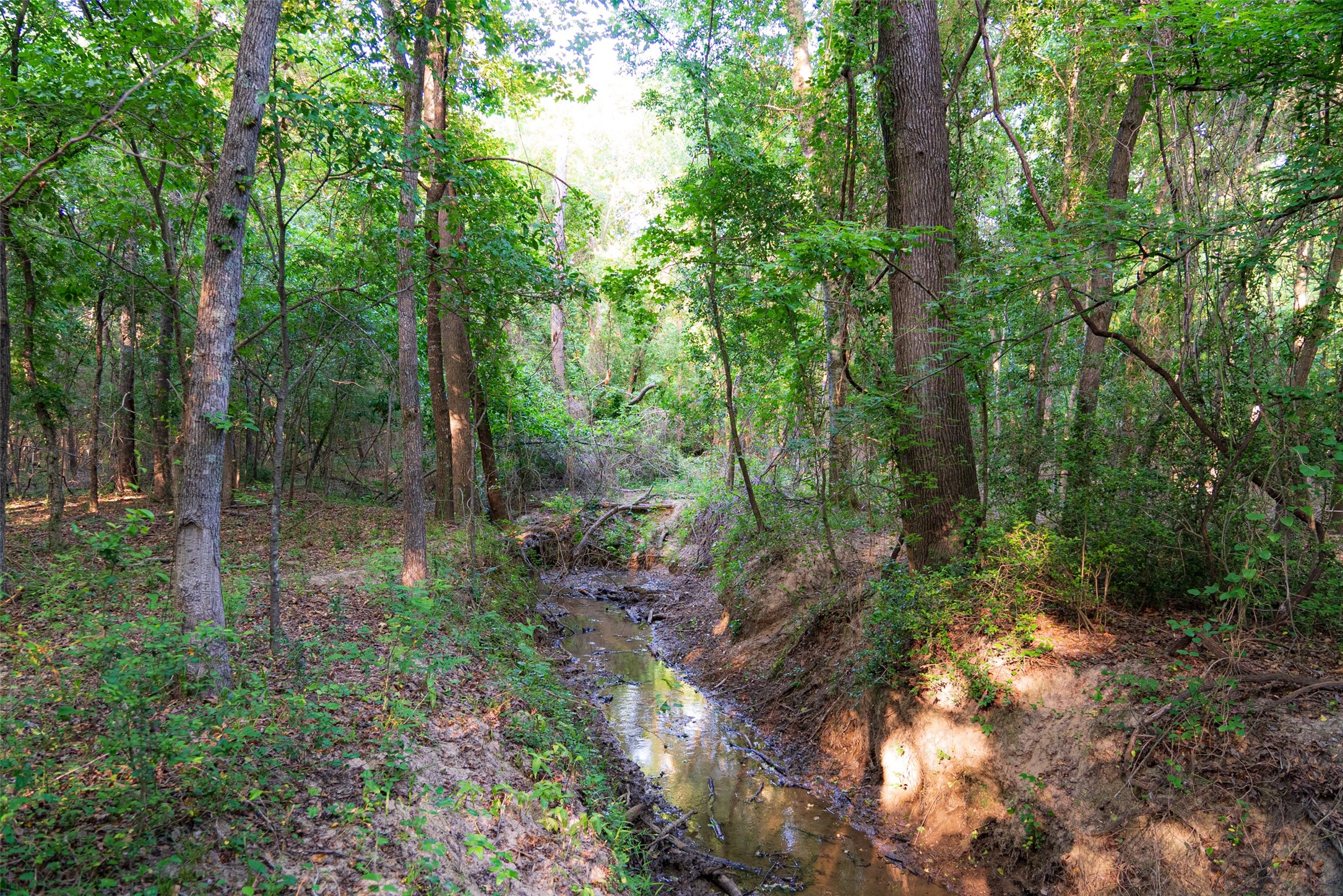 13612 County Road 3900 Athens TX 75752