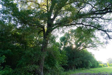 13612 County Road 3900 Athens TX 75752