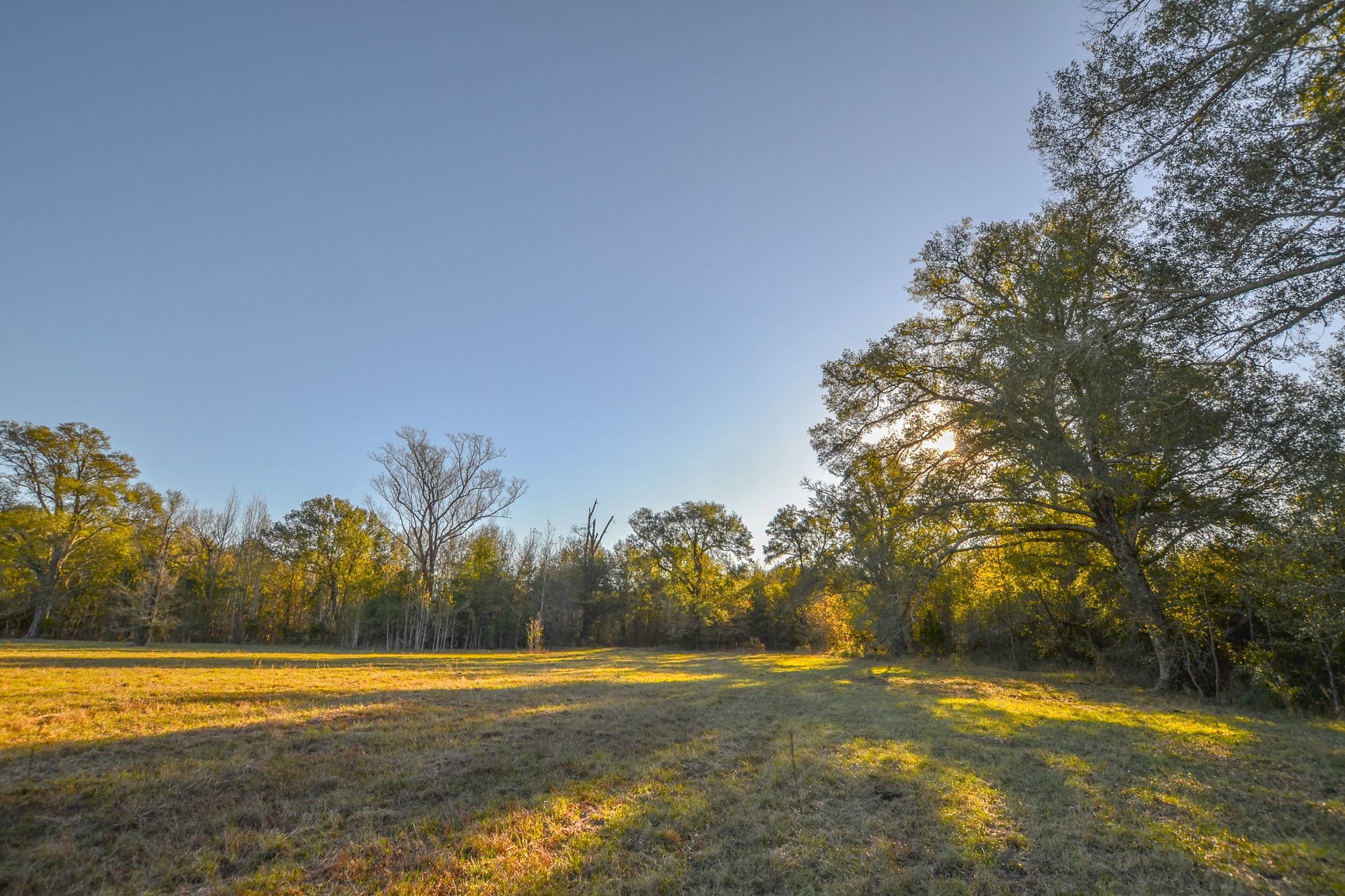13612 County Road 3900 Athens TX 75752