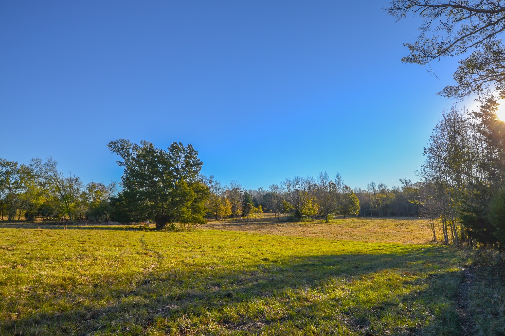 13612 County Road 3900 Athens TX 75752