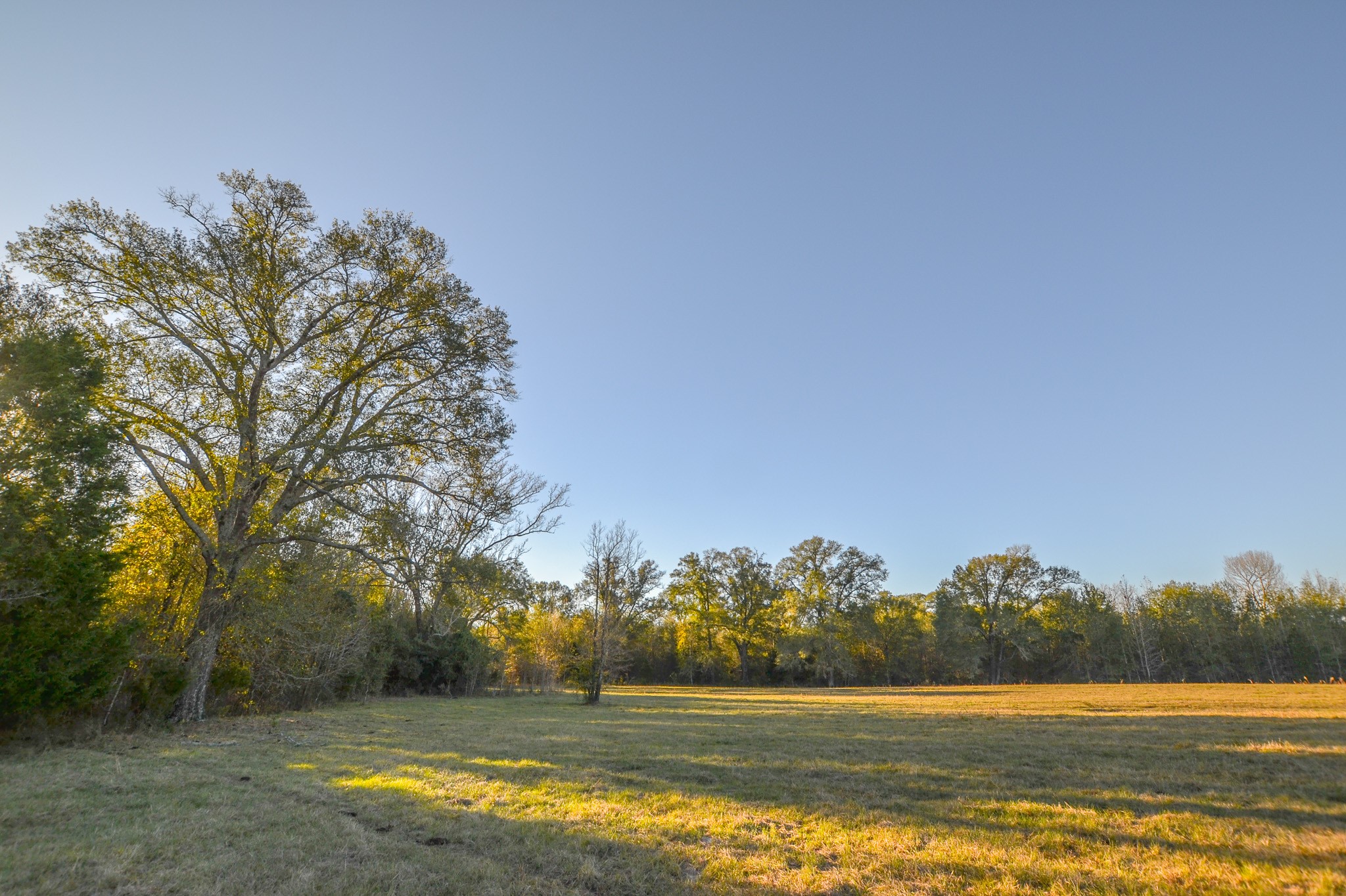 13612 County Road 3900 Athens TX 75752