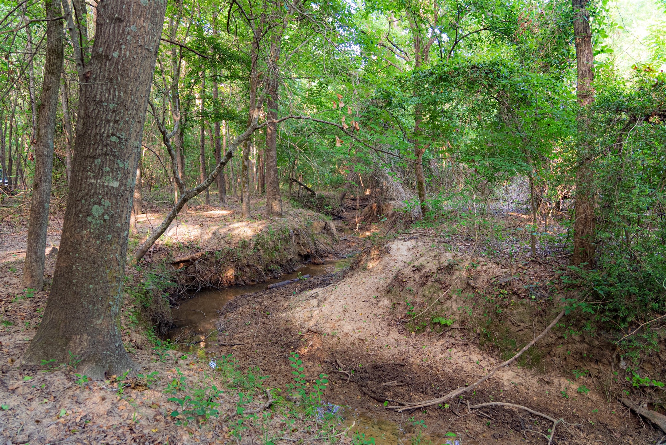 13612 County Road 3900 Athens TX 75752