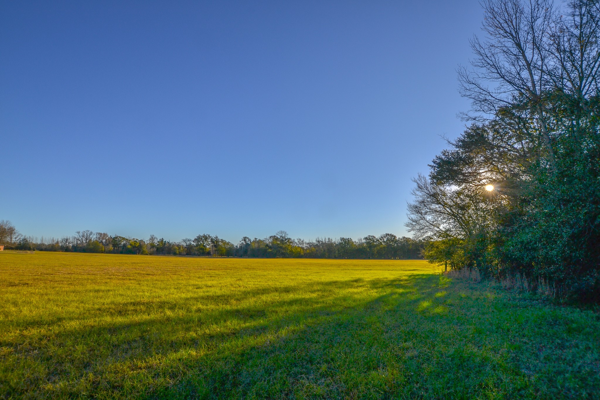 13612 County Road 3900 Athens TX 75752