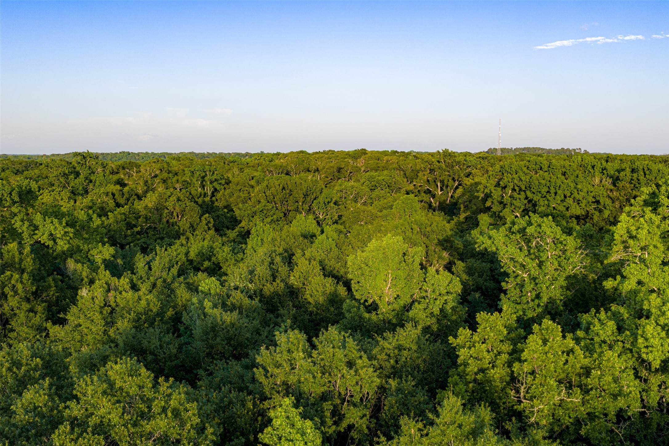 13612 County Road 3900 Athens TX 75752