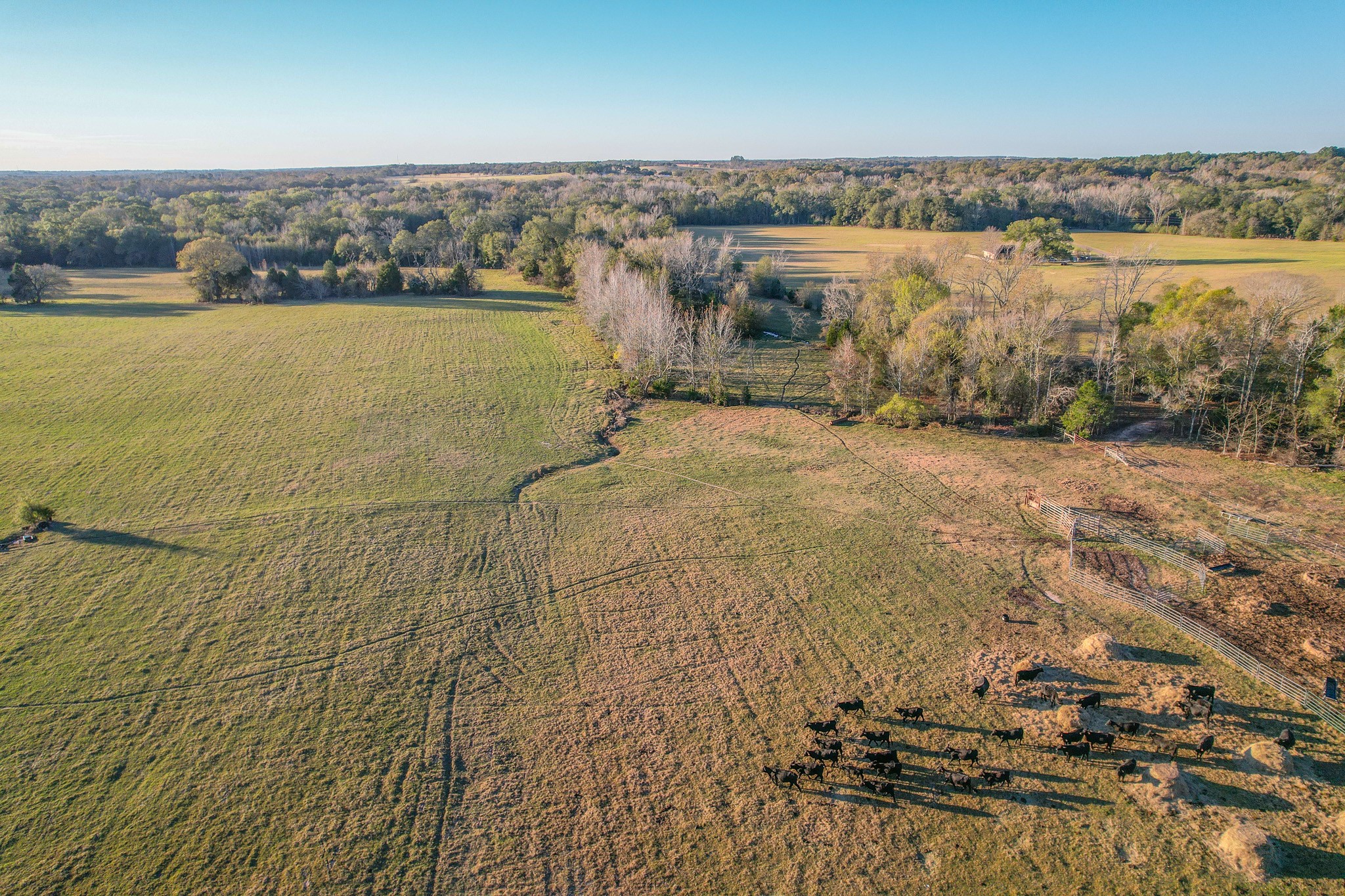 13612 County Road 3900 Athens TX 75752