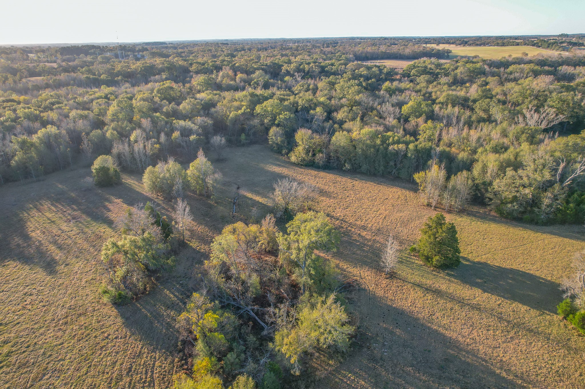 13612 County Road 3900 Athens TX 75752