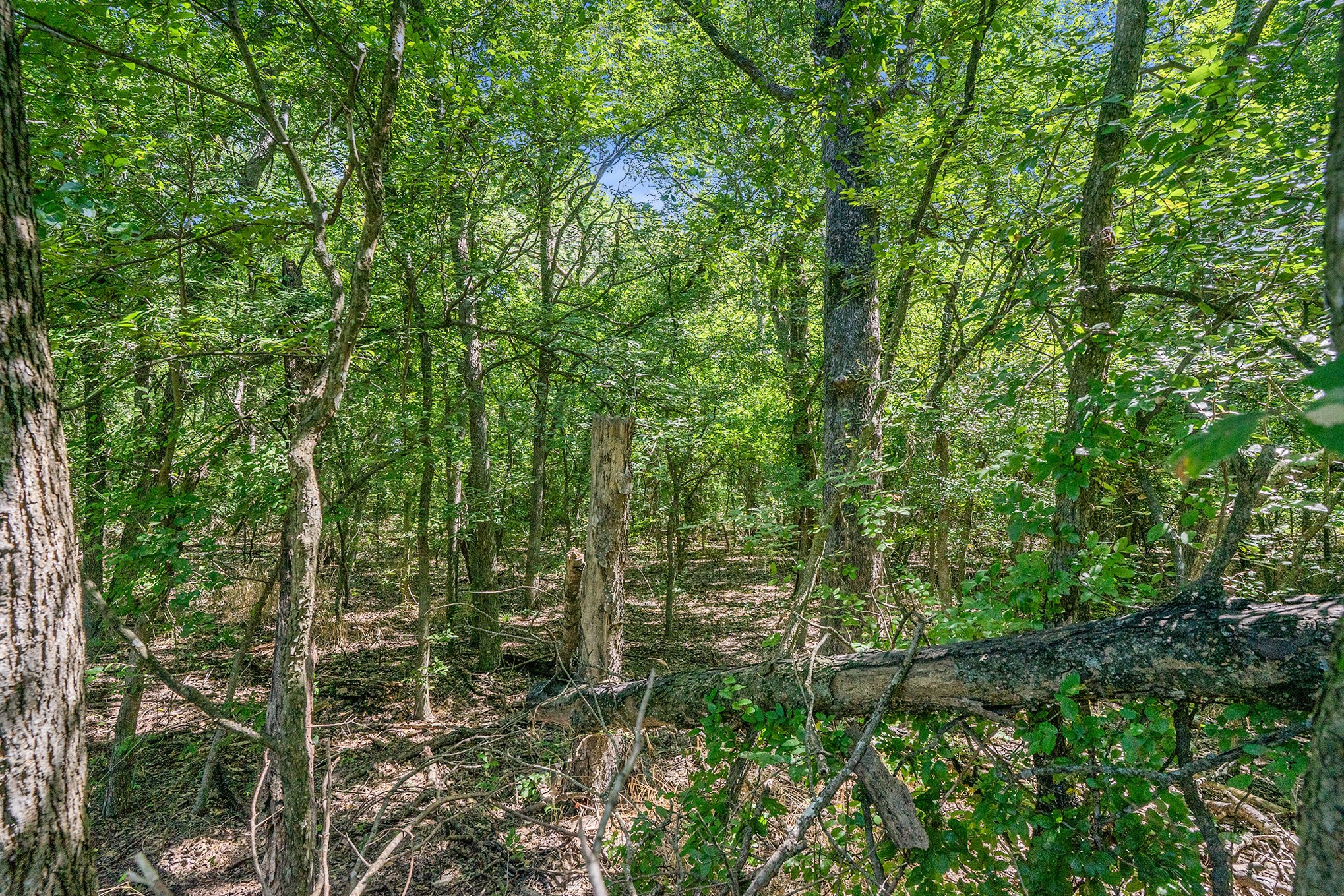 8855 County Road 107 Grandview TX 76050