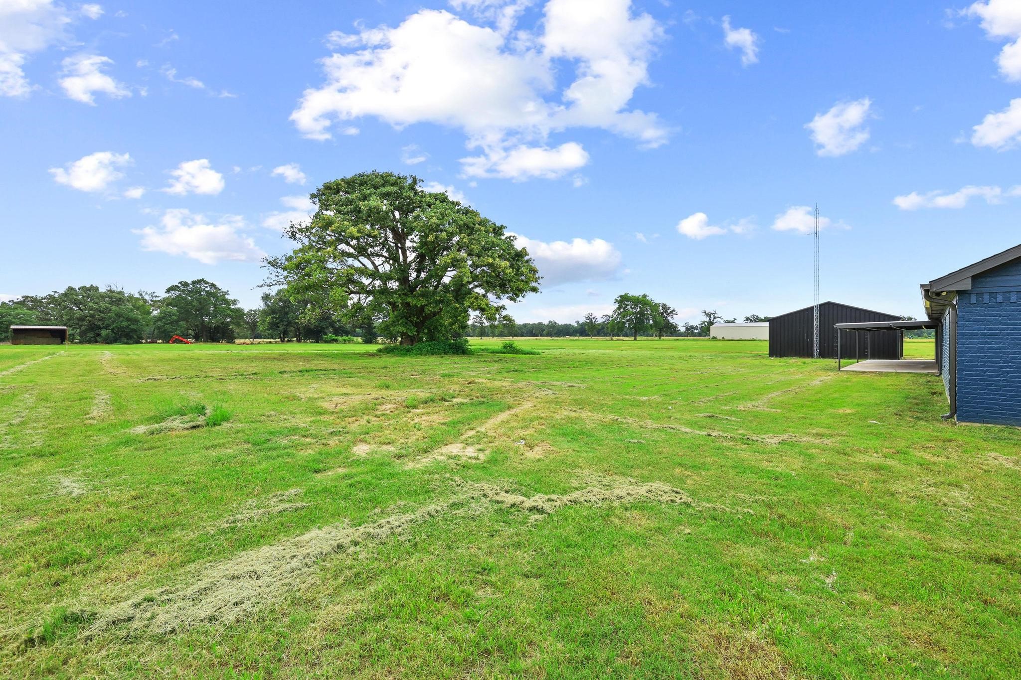 1250 County Road 2280 Telephone TX 75488