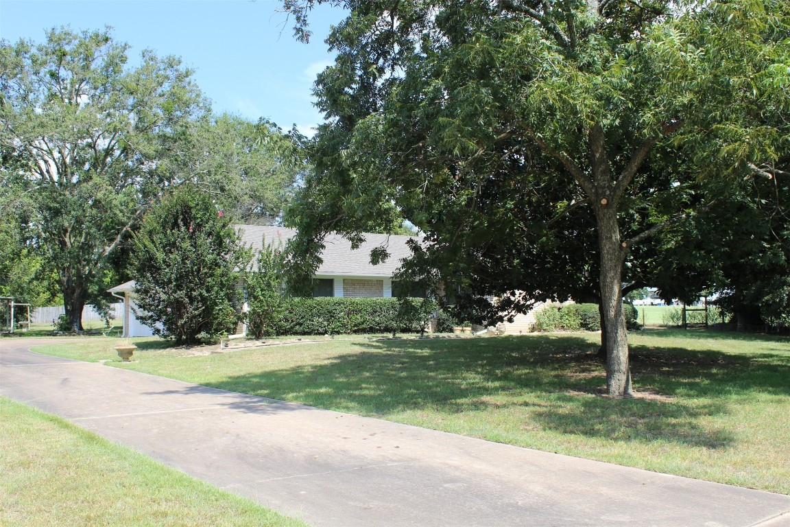 1019 N Main Street Winnsboro TX 75494