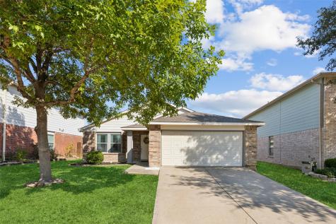 2317 White Pine Drive Little Elm TX 75068