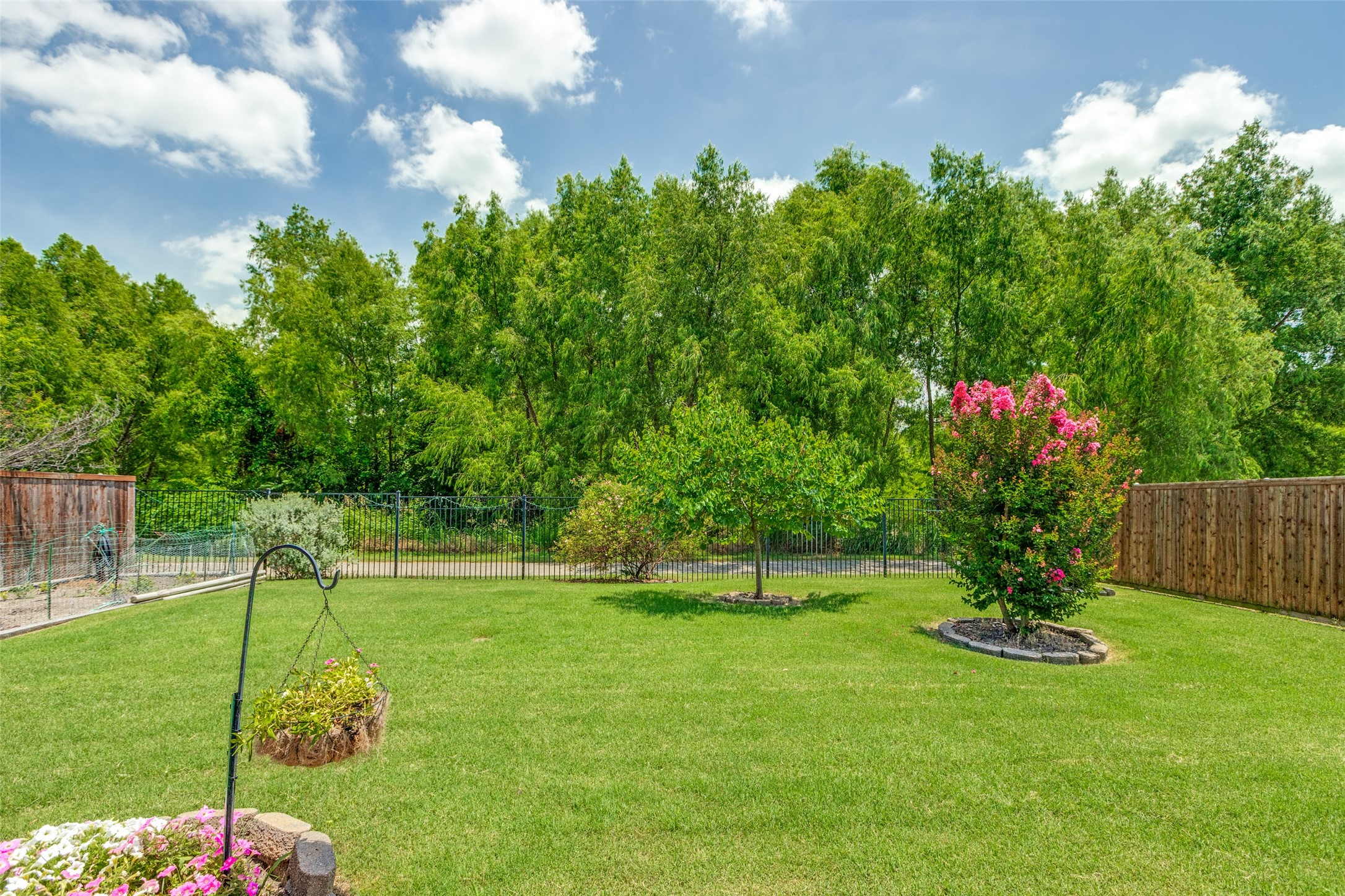 1097 Oakbrook Street Prosper TX 75078