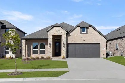 517 Bristle Pine Avenue Little Elm TX 75068