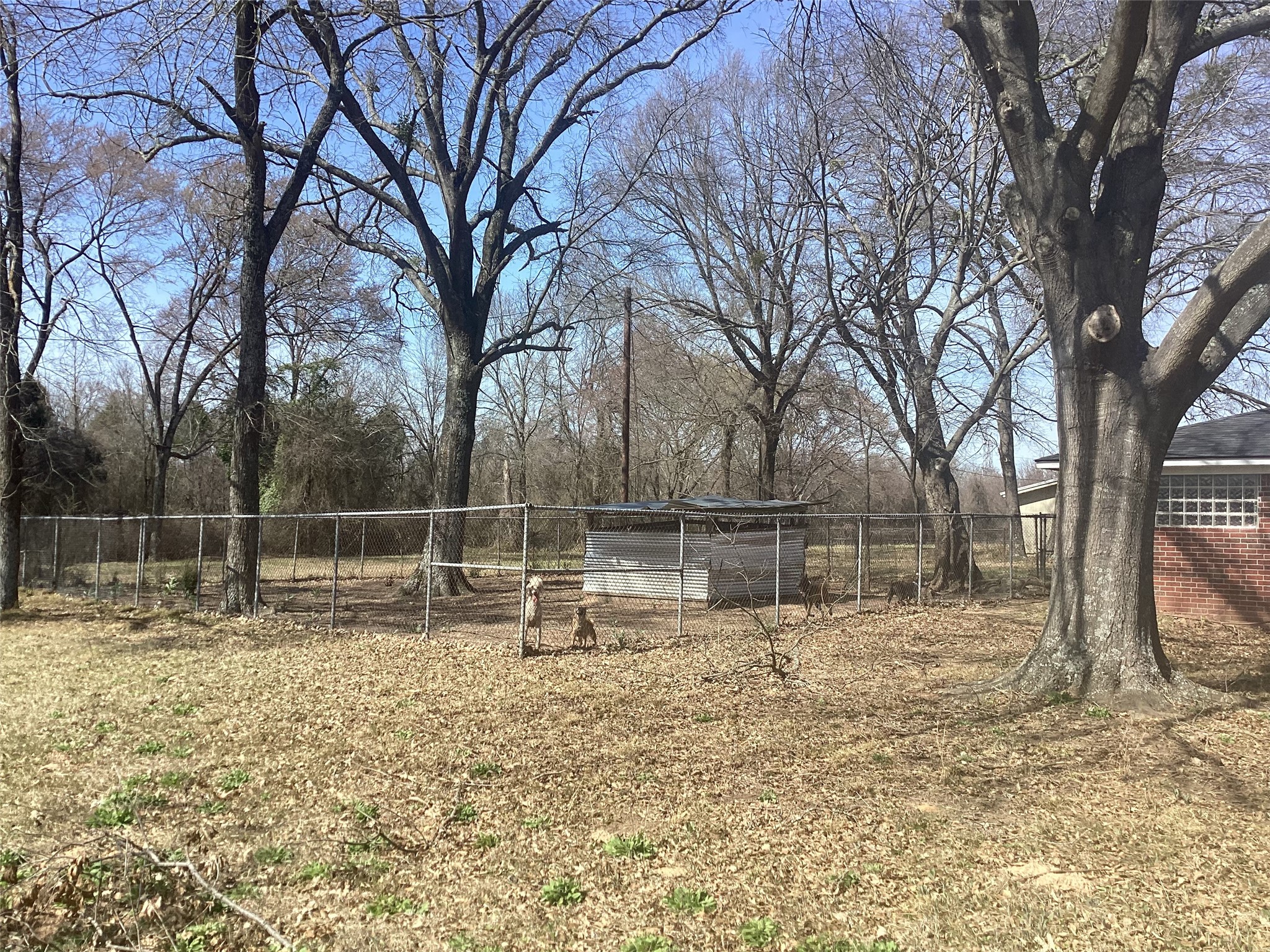 15314 Fm 3062 Malakoff TX 75148