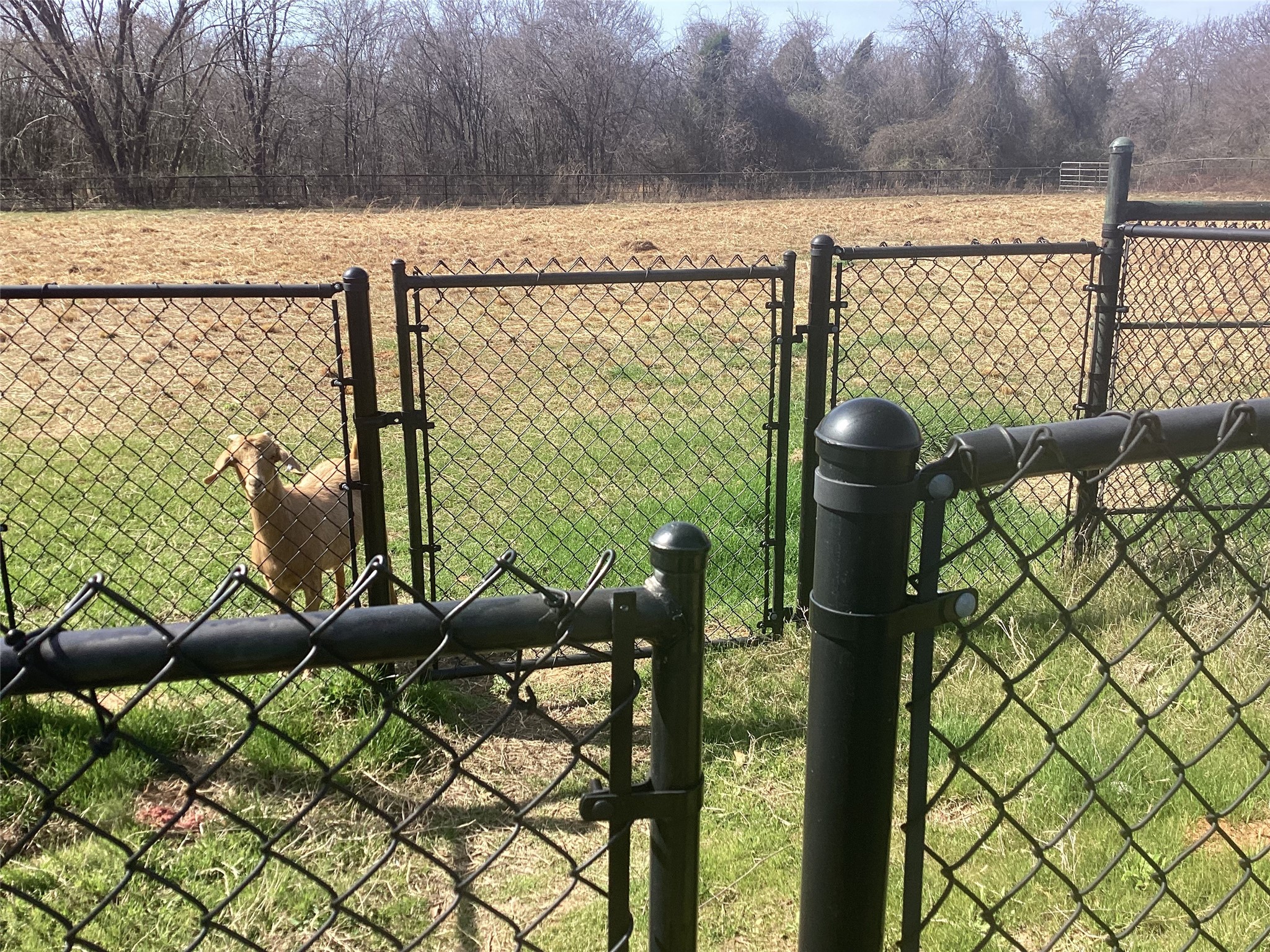 15314 Fm 3062 Malakoff TX 75148