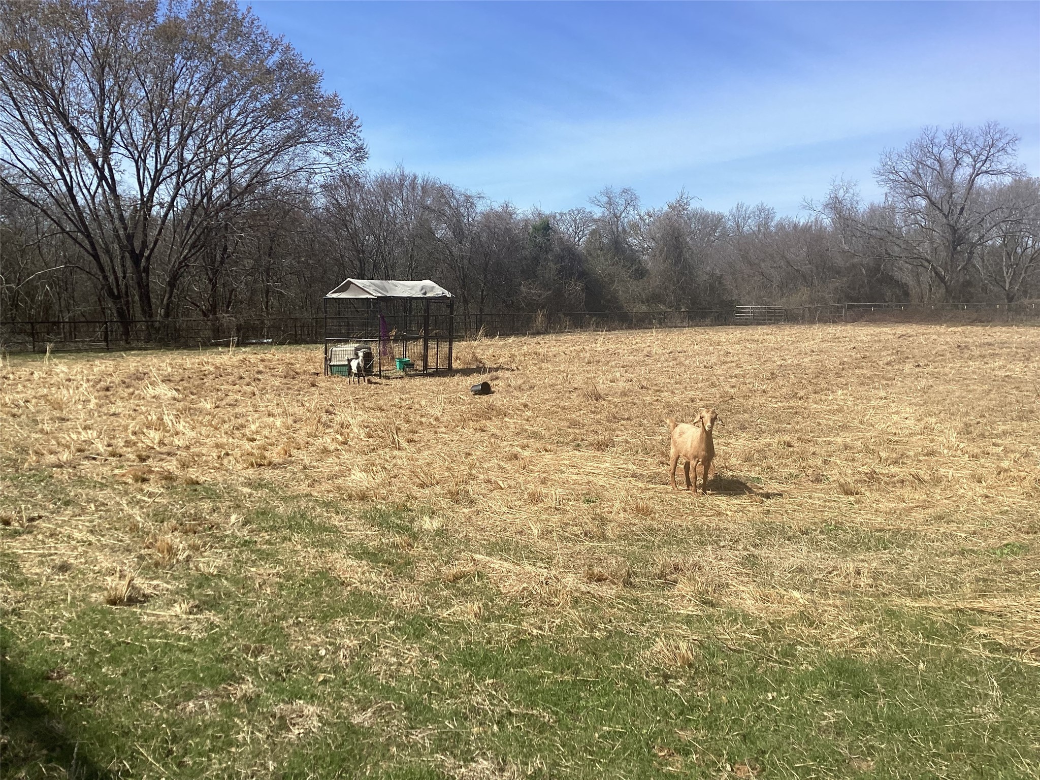 15314 Fm 3062 Malakoff TX 75148